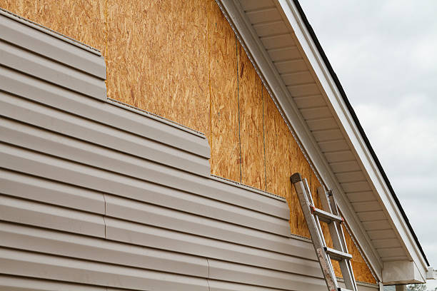 Professional Siding Contractor technician working in Winnsboro, TX